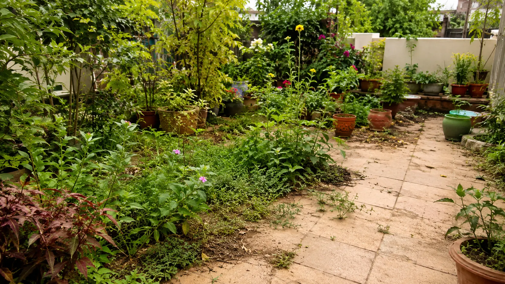 Unclear Borders and Undefined Beds